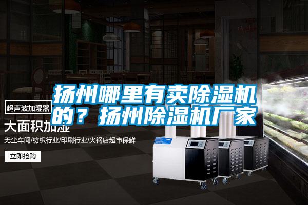 扬州哪里有卖除湿机的?扬州除湿机厂家