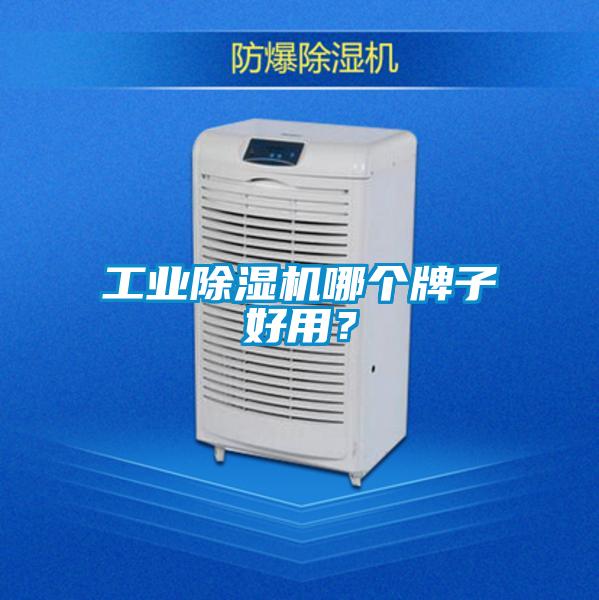 工业除湿机哪个牌子好用?