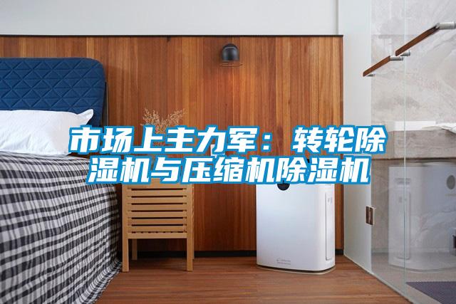 市场上主力军:转轮除湿机与压缩机除湿机