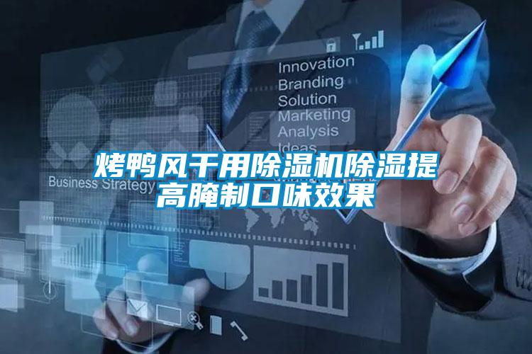 烤鸭风干用除湿机除湿提高腌制口味效果