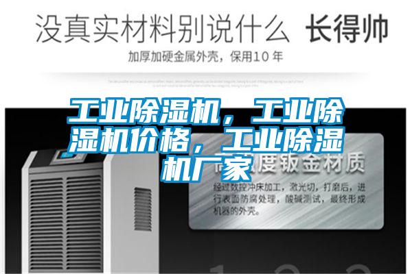 工业除湿机,工业除湿机价格,工业除湿机厂家