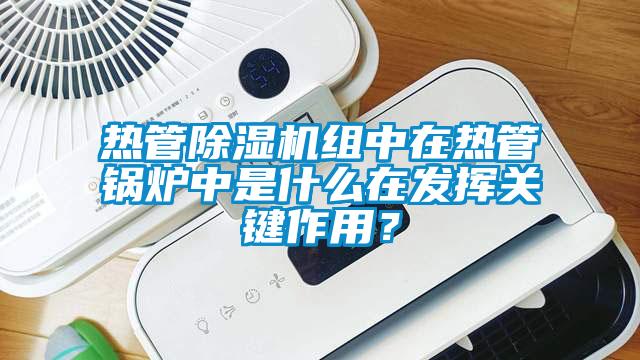 热管除湿机组中在热管锅炉中是什么在发挥关键作用?