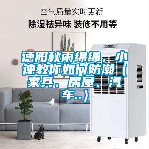 德阳秋雨绵绵,小德教你如何防潮(家具、房屋、汽车..)