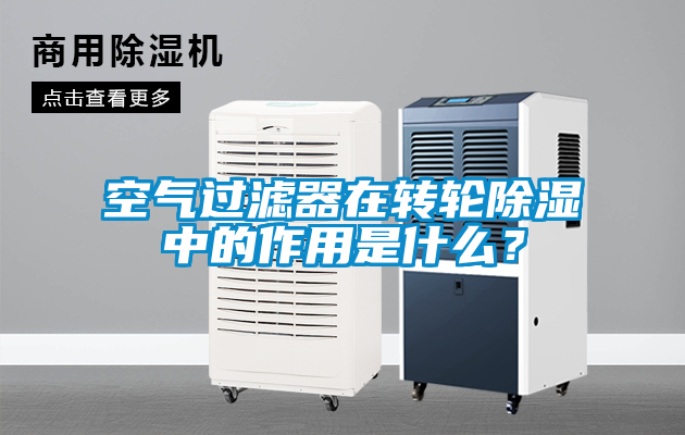 空气过滤器在转轮除湿中的作用是什么?