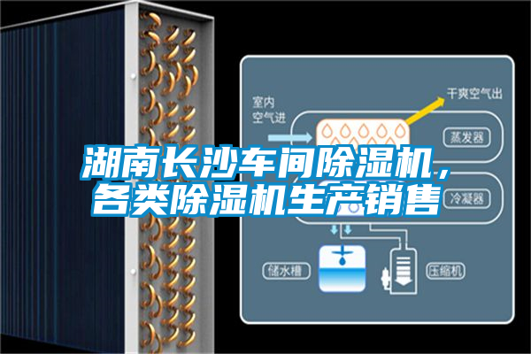 湖南长沙车间除湿机,各类除湿机生产销售