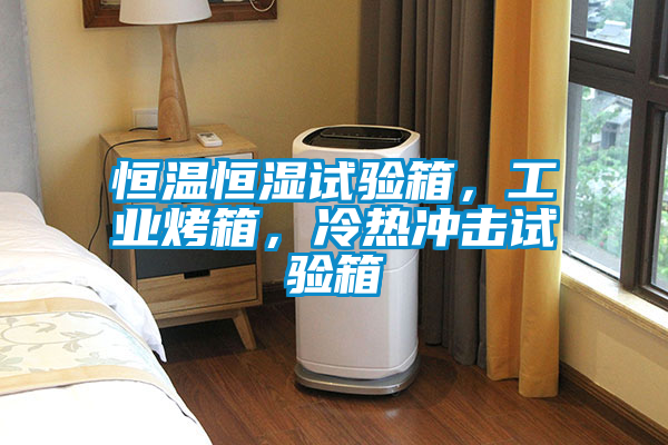 恒温恒湿试验箱,工业烤箱,冷热冲击试验箱