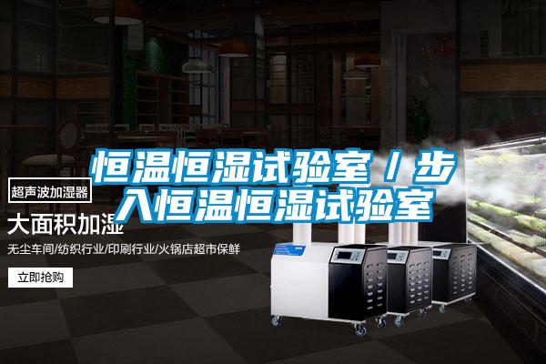 恒温恒湿试验室/步入恒温恒湿试验室