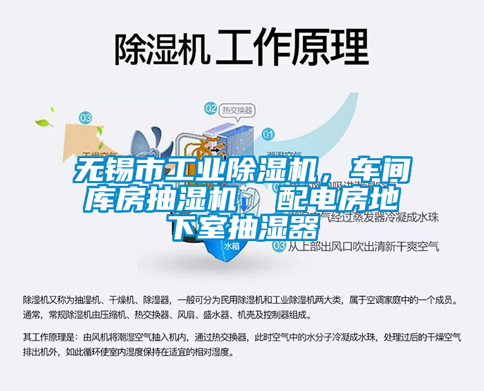 无锡市工业除湿机,车间库房抽湿机 配电房地下室抽湿器