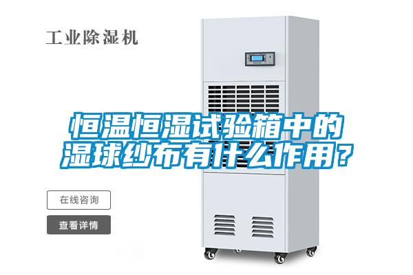 恒温恒湿试验箱中的湿球纱布有什么作用?