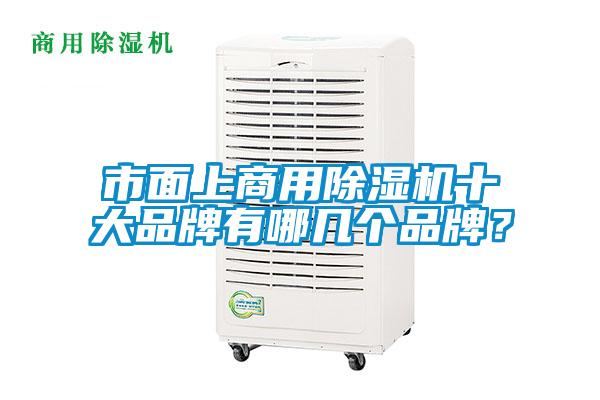 市面上商用除湿机十大品牌有哪几个品牌?