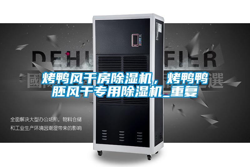 烤鸭风干房除湿机,烤鸭鸭胚风干专用除湿机_重复