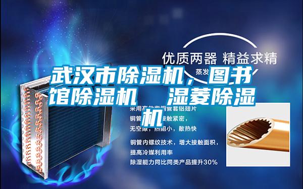 武汉市除湿机,图书馆除湿机 湿菱除湿机