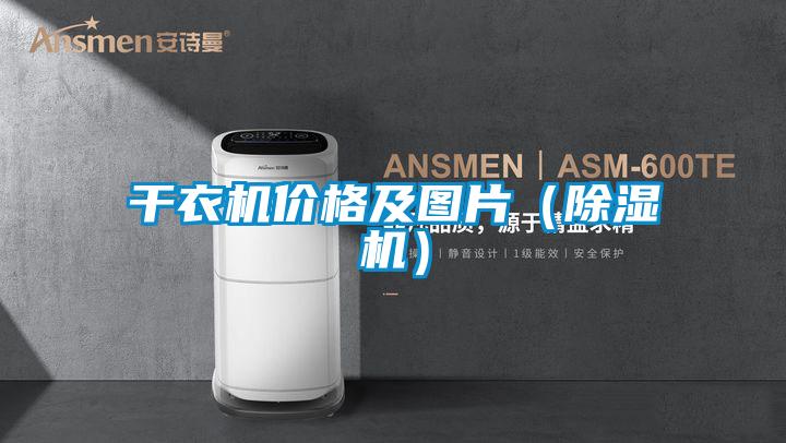 干衣机价格及图片(除湿机)