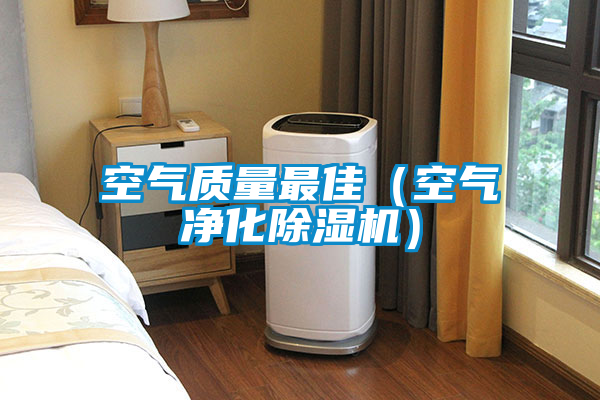 空气质量最佳(空气净化除湿机)