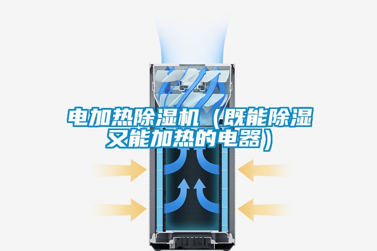 电加热除湿机(既能除湿又能加热的电器)