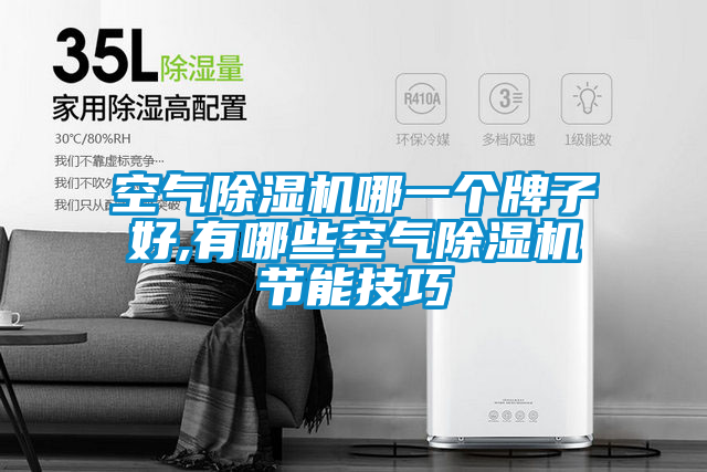 空气除湿机哪一个牌子好,有哪些空气除湿机节能技巧