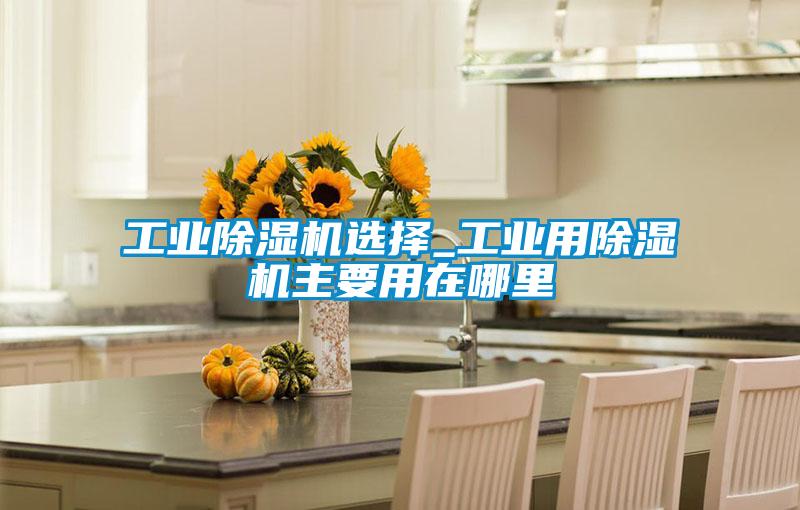 工业除湿机选择_工业用除湿机主要用在哪里
