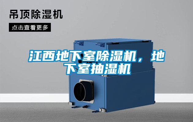 江西地下室除湿机,地下室抽湿机