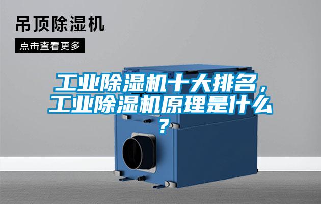 工业除湿机十大排名,工业除湿机原理是什么?