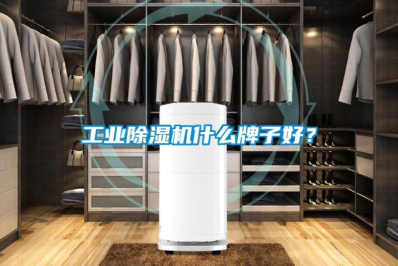 工业除湿机什么牌子好?