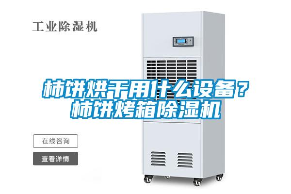 柿饼烘干用什么设备?柿饼烤箱除湿机