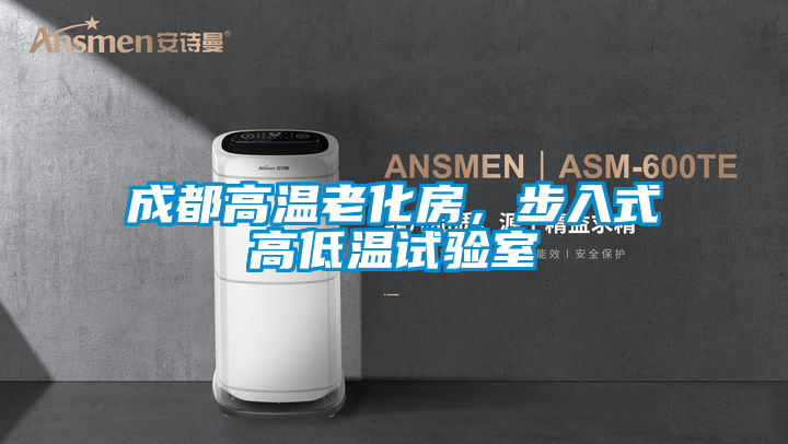 成都高温老化房,步入式高低温试验室
