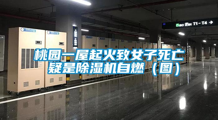 桃园一屋起火致女子死亡 疑是除湿机自燃(图)