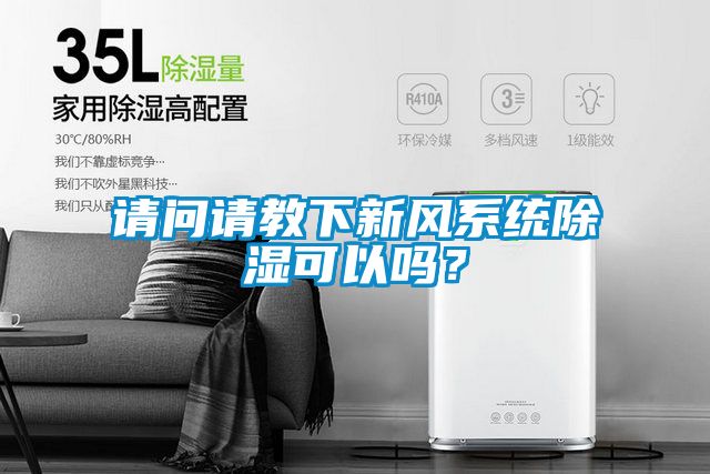 请问请教下新风系统除湿可以吗?