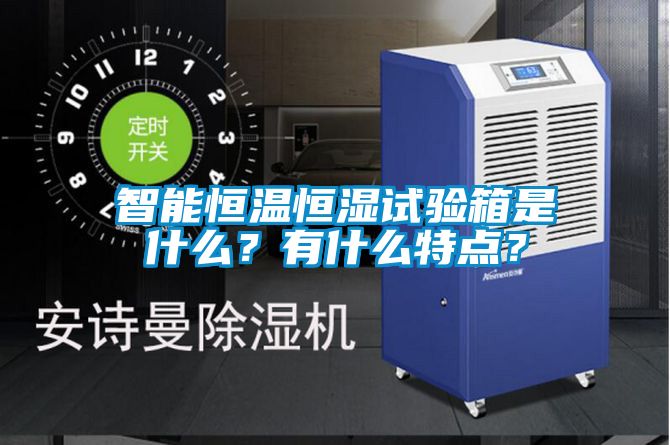 智能恒温恒湿试验箱是什么?有什么特点?