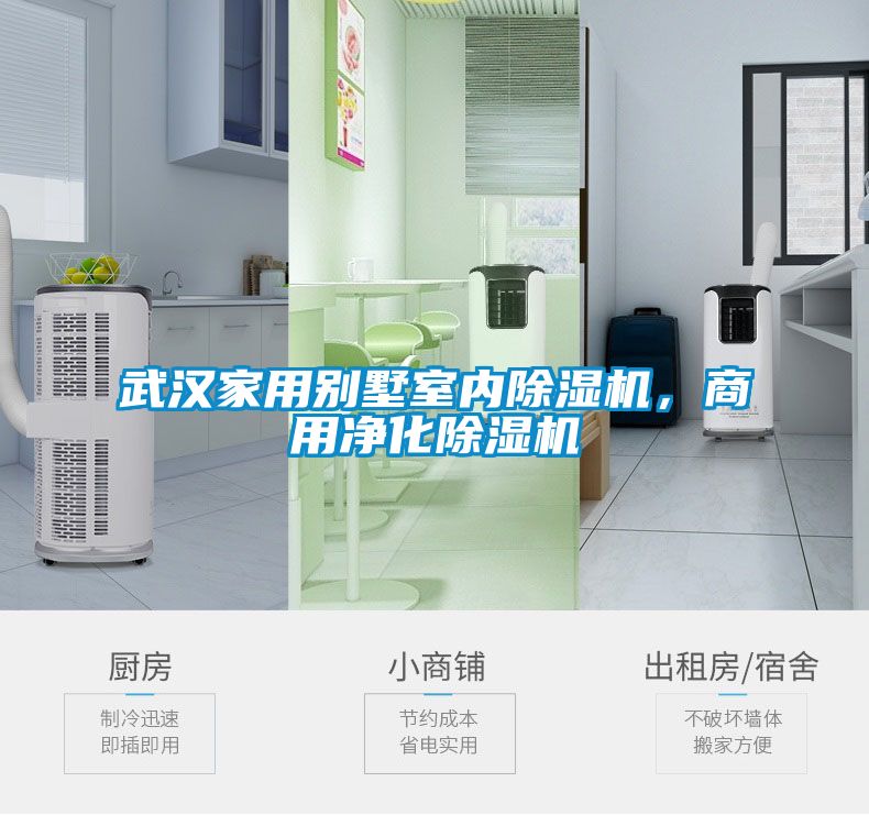 武汉家用别墅室内除湿机,商用净化除湿机