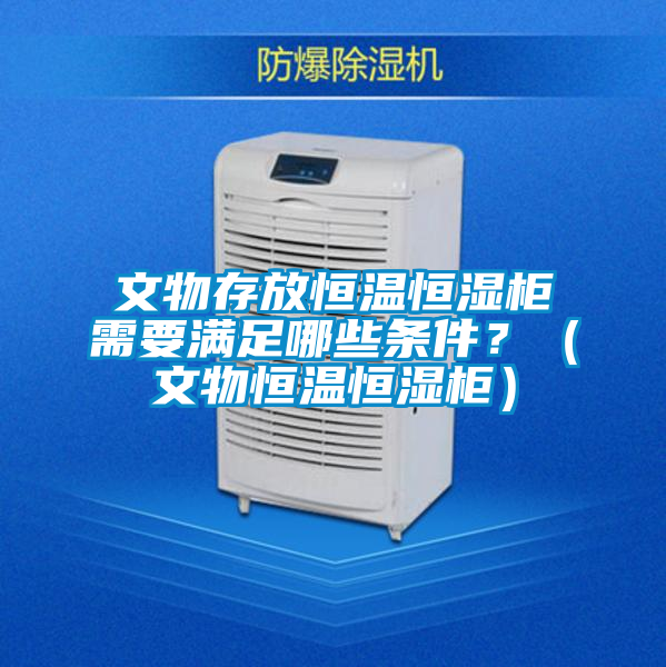 文物存放恒温恒湿柜需要满足哪些条件?(文物恒温恒湿柜)