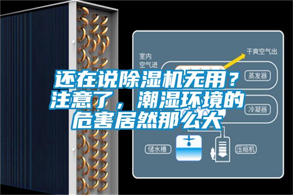 还在说除湿机无用?注意了,潮湿环境的危害居然那么大