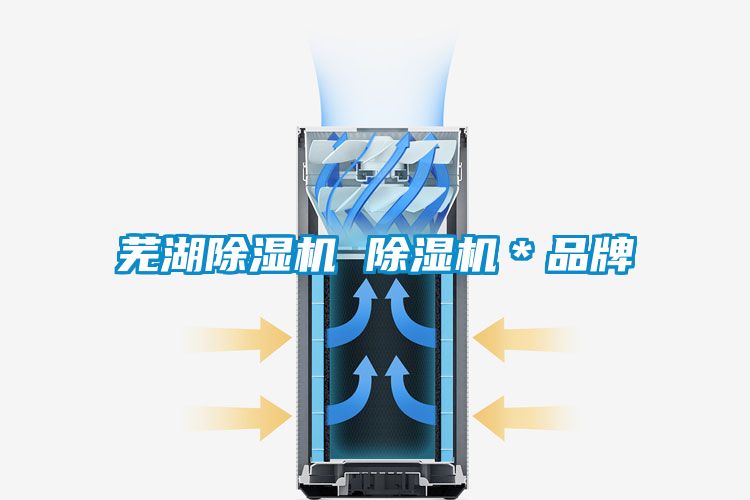 芜湖除湿机 除湿机*品牌