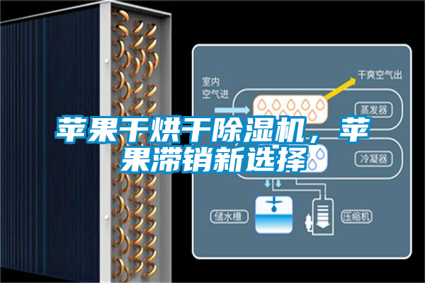 苹果干烘干除湿机,苹果滞销新选择