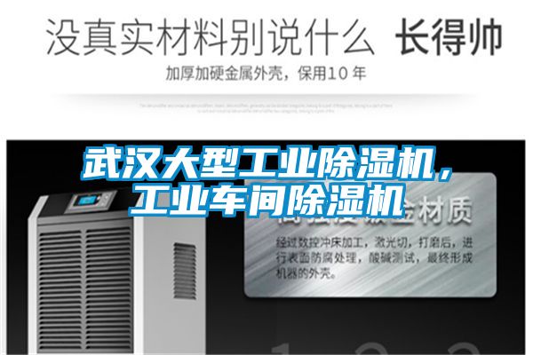 武汉大型工业除湿机,工业车间除湿机