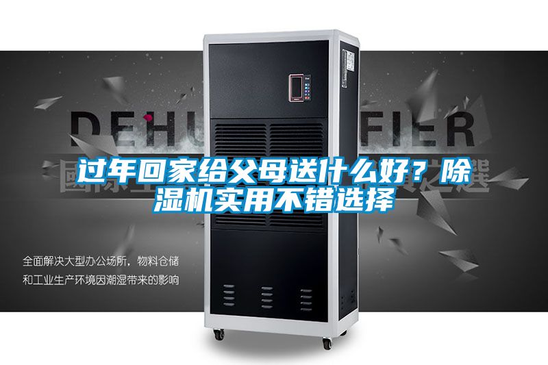 过年回家给父母送什么好?除湿机实用不错选择