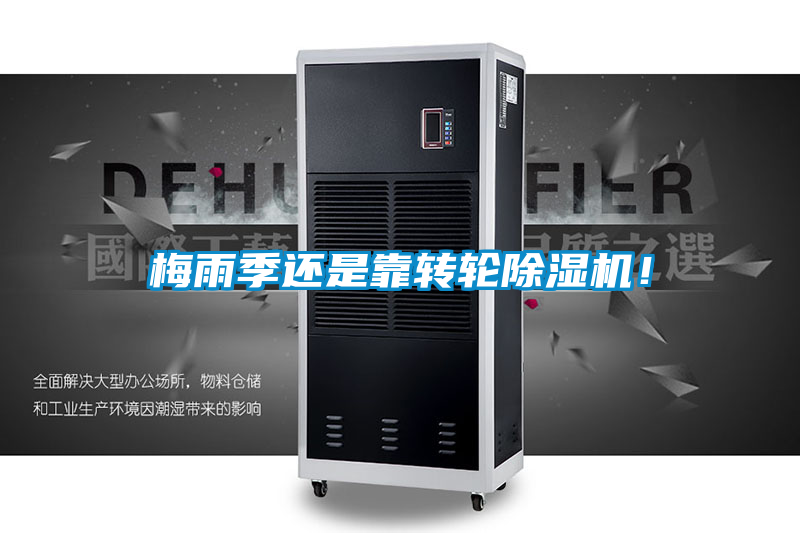 梅雨季还是靠转轮除湿机!