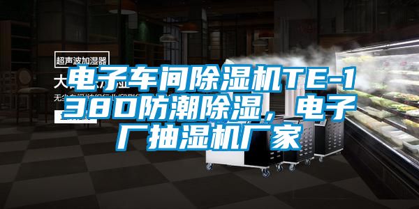 电子车间除湿机TE-138D防潮除湿,电子厂抽湿机厂家