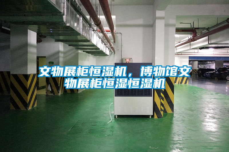 文物展柜恒湿机,博物馆文物展柜恒湿恒湿机