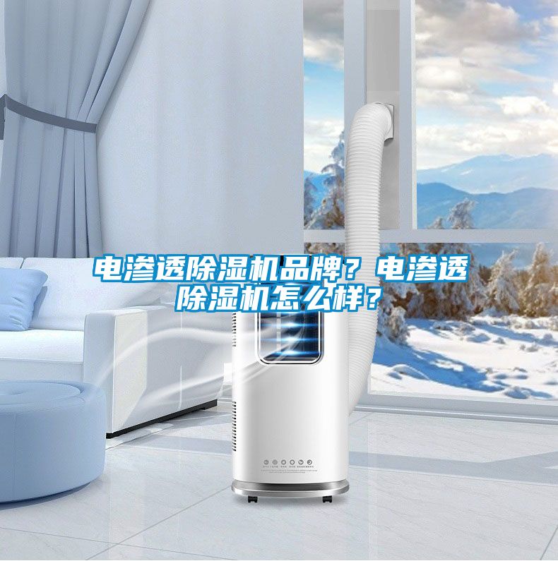 电渗透除湿机品牌?电渗透除湿机怎么样?