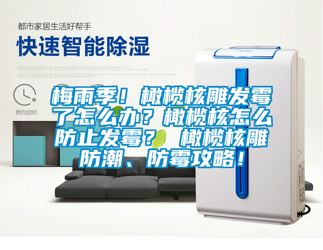 梅雨季!橄榄核雕发霉了怎么办?橄榄核怎么防止发霉? 橄榄核雕防潮、防霉攻略!