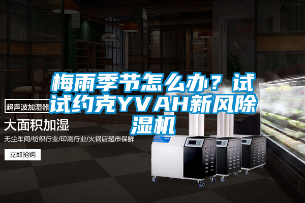 梅雨季节怎么办?试试约克YVAH新风除湿机