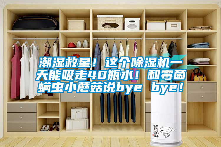 潮湿救星!这个除湿机一天能吸走40瓶水!和霉菌螨虫小蘑菇说bye bye!