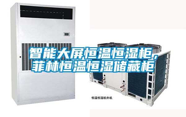 智能大屏恒温恒湿柜,菲林恒温恒湿储藏柜