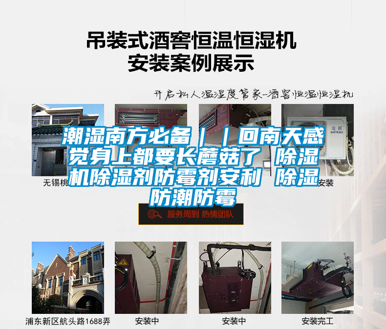 潮湿南方必备||回南天感觉身上都要长蘑菇了 除湿机除湿剂防霉剂安利 除湿防潮防霉