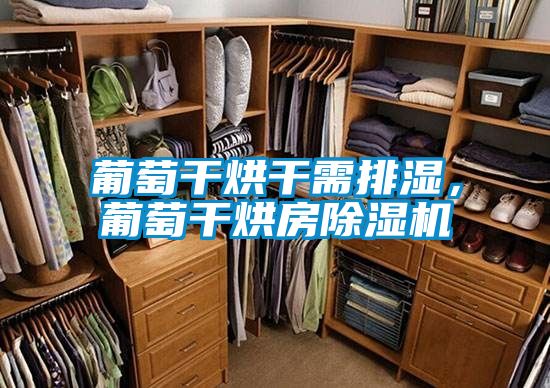 葡萄干烘干需排湿，葡萄干烘房除湿机