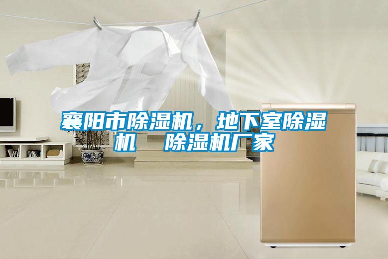 襄阳市除湿机,地下室除湿机 除湿机厂家