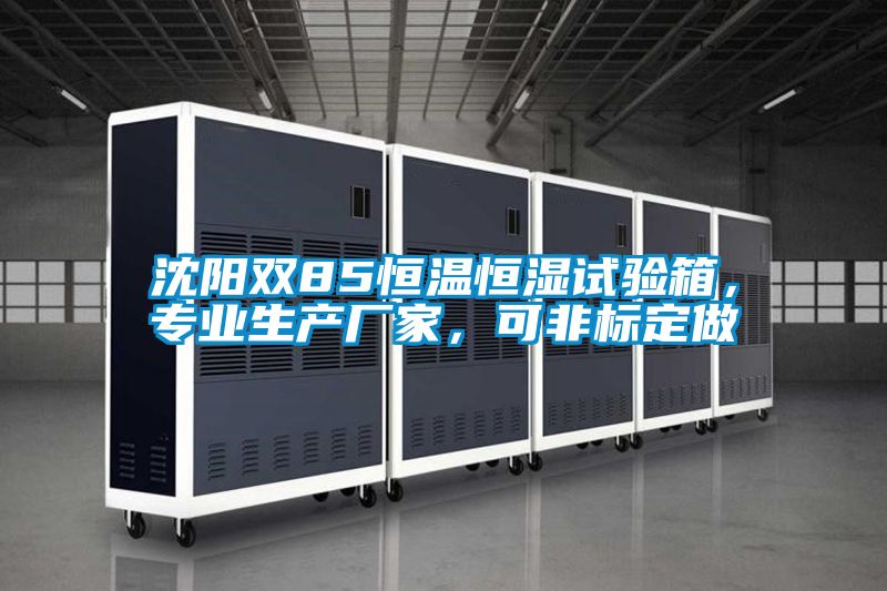 沈阳双85恒温恒湿试验箱,专业生产厂家,可非标定做