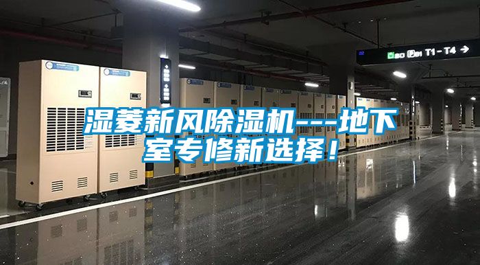 湿菱新风除湿机---地下室专修新选择!