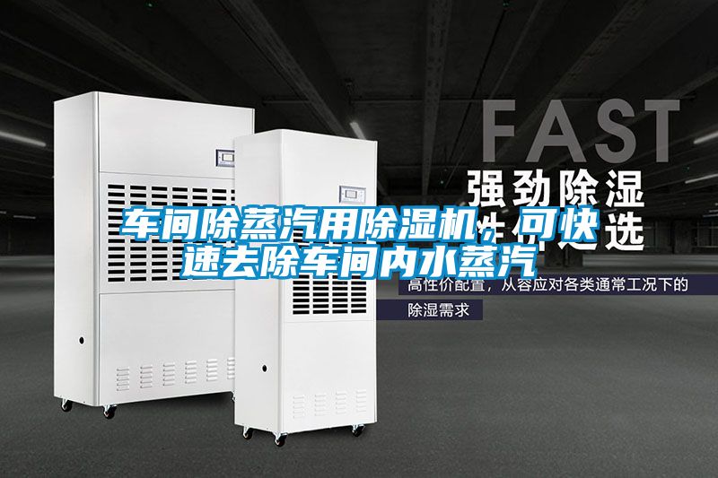 车间除蒸汽用除湿机,可快速去除车间内水蒸汽